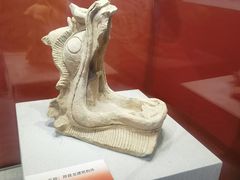 -北京周口店北京人遗址博物馆