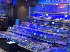 -青蓬蒸汽海鲜·深圳老字号·团建聚会(壹方城店)
