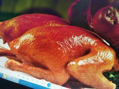 -东鸽皇(奥园·中环广场店)