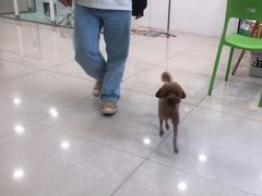 -佳雯宠物医院(四明中路分院)