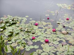 -金银湖国家城市湿地公园