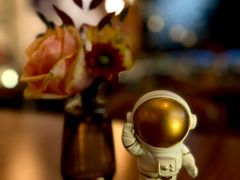 -Wine Universe 宇宙酒馆