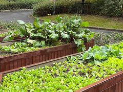 -梧桐人家中国太平国际健康颐养社区