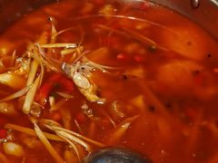 -吃城都·鱼蛙火锅(西玉龙街店)