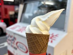 -富豪雪糕车流动点(尖沙咀店)
