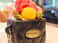 香榭假日外带冰淇淋杯-哈根达斯(华星店)