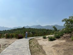 -白水寺森林公园