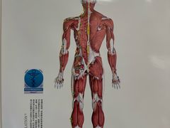 -复动肌骨门诊·MEDMOTION(北外滩店)