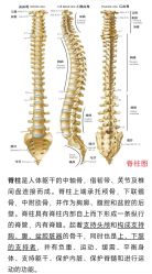 -仟悦普拉提·孕产瑜伽·塑形