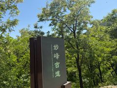 -阳台山自然风景区