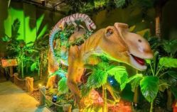 -恐龙探索乐园(磁器口店)