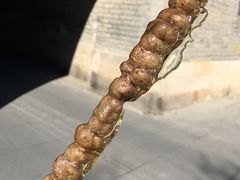 -中国人民抗日战争纪念馆