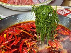 -小龙坎火锅(春熙太古里店)