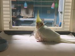 -雨林宠物医院 非犬猫异宠专科