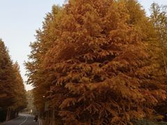 -南京市无想山景区