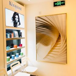 -THE LOG SALON 记录