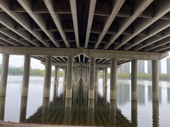 -长白岛森林公园