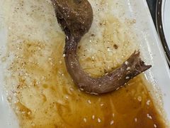 -鸽鸟轩(石岐店)