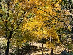 -北京鹫峰国家森林公园