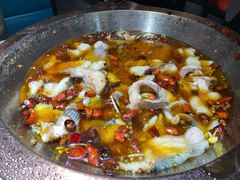 -雲蜀龙阁·金牌水煮鱼(方庄店)