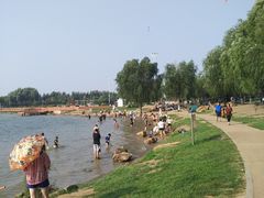 -丁香湖公园