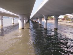 -演武大桥观景平台