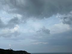 -广东惠东海龟国家级自然保护区