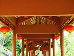 -广州神农草堂中医药博物馆