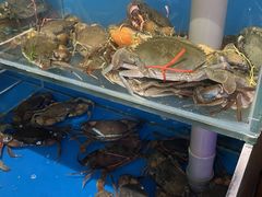 -辣盆盆麻辣小龙虾(哈尔滨总店)