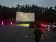 -枫花园汽车电影院(朝阳公园店)