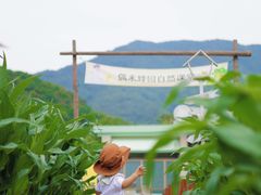 -宁波九龙湖开元度假村