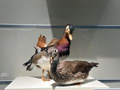 -大连自然博物馆