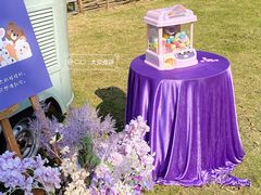 -芭厘农庄老字号·清远鸡