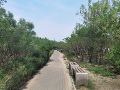 -大港湿地公园