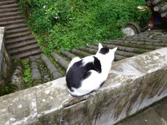 -青城山
