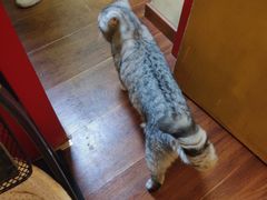 -H立方实景剧情密室(天河旗舰店)