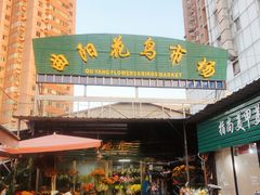 -曲阳花鸟市场(曲阳路店)