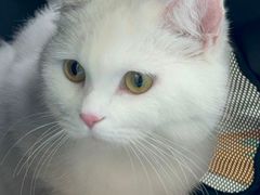 -达爱动物医院·犬猫分区·CT·复杂眼科(远洋山水分院)