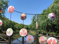 -上海鲜花港