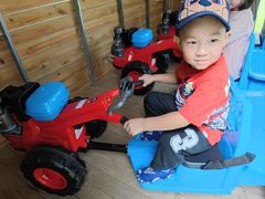 -前小桔亲子创意农场·草莓采摘·露营烧烤