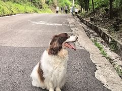 -瑞鹏瑞爱宠物医院·全科·猫科·血液透析中心(龙头寺店)