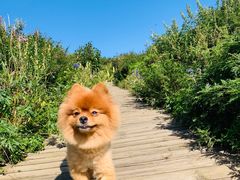 -白草畔自然风景区