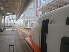 -文府路口(Taiwan High Speed Rail Zuoying Station)