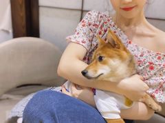 -逗柴咖啡屋·狗咖猫咖宠物桌游