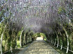 -同里国家湿地公园