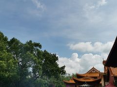 -深圳仙湖植物园