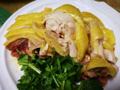 正宗湛江鸡-瑞记湛江鸡饭店·粤西第一鸡(粤垦店)
