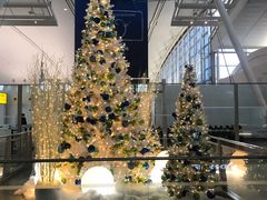 -约翰·菲茨杰拉德·肯尼迪国际机场