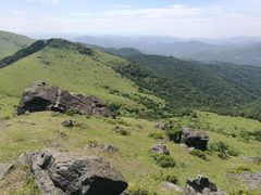 -大姆山草场