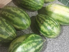 -水煮青春老火锅(双福店)